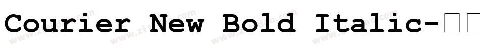 Courier New Bold Italic字体转换